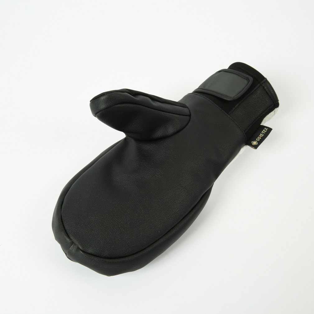 ebs メンズ スノーボード グローブ GAME CHANGER_ 4500002 ebs｜Alpen