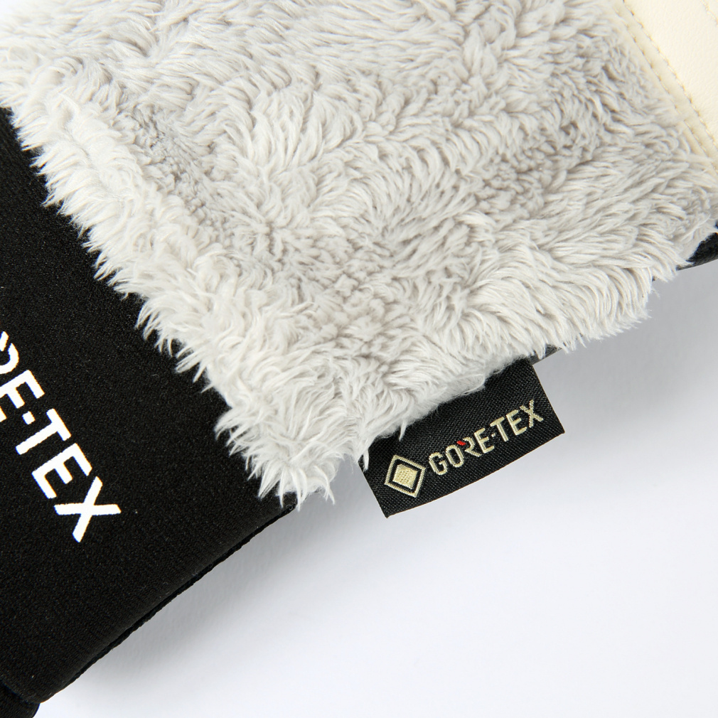 ebs メンズ スノーボード グローブ GORE-TEX EXCLUSIVE_ 4500015 ebs