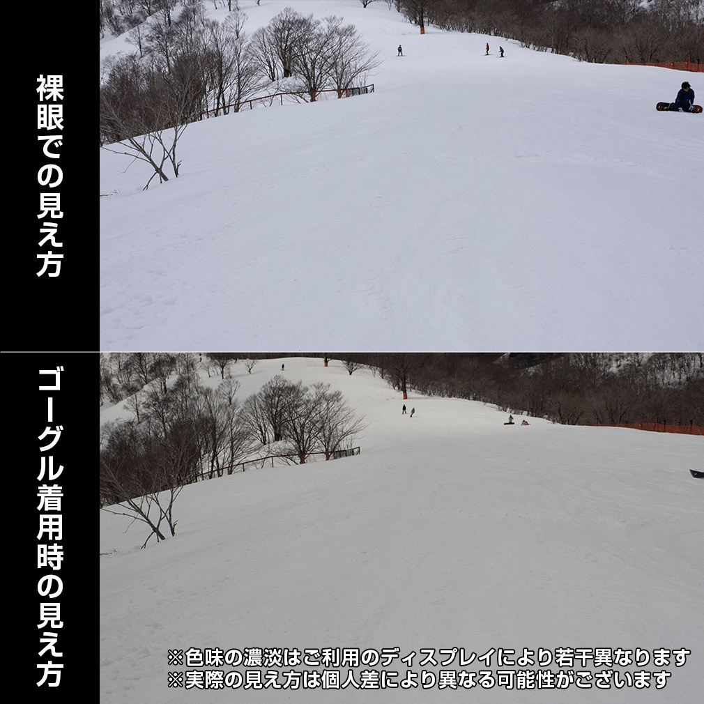 フォリオ フォリオ スキー/スノーボード ゴーグル FO GL-484ML スキー