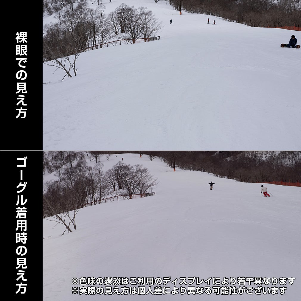 サロモン セントリー_SENTRY PRAIME SIGMA PHOTO+1 L47893500 スキー