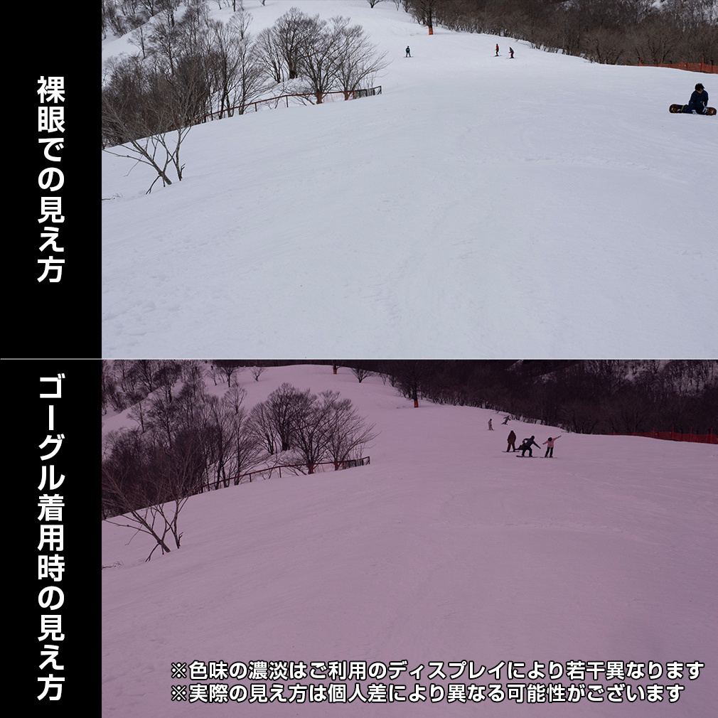 サロモン ラディウム_RADIUM PRO SIGMA PHOTO L47889400 スキー
