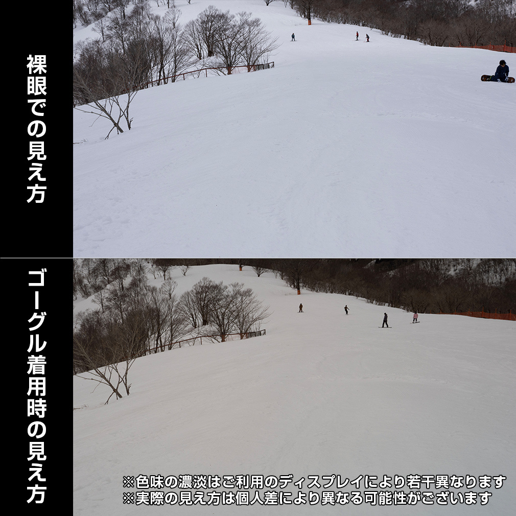 サロモン エスビュー_S/VIEW 3 PHOTOCHROMIC L47916800 スキー