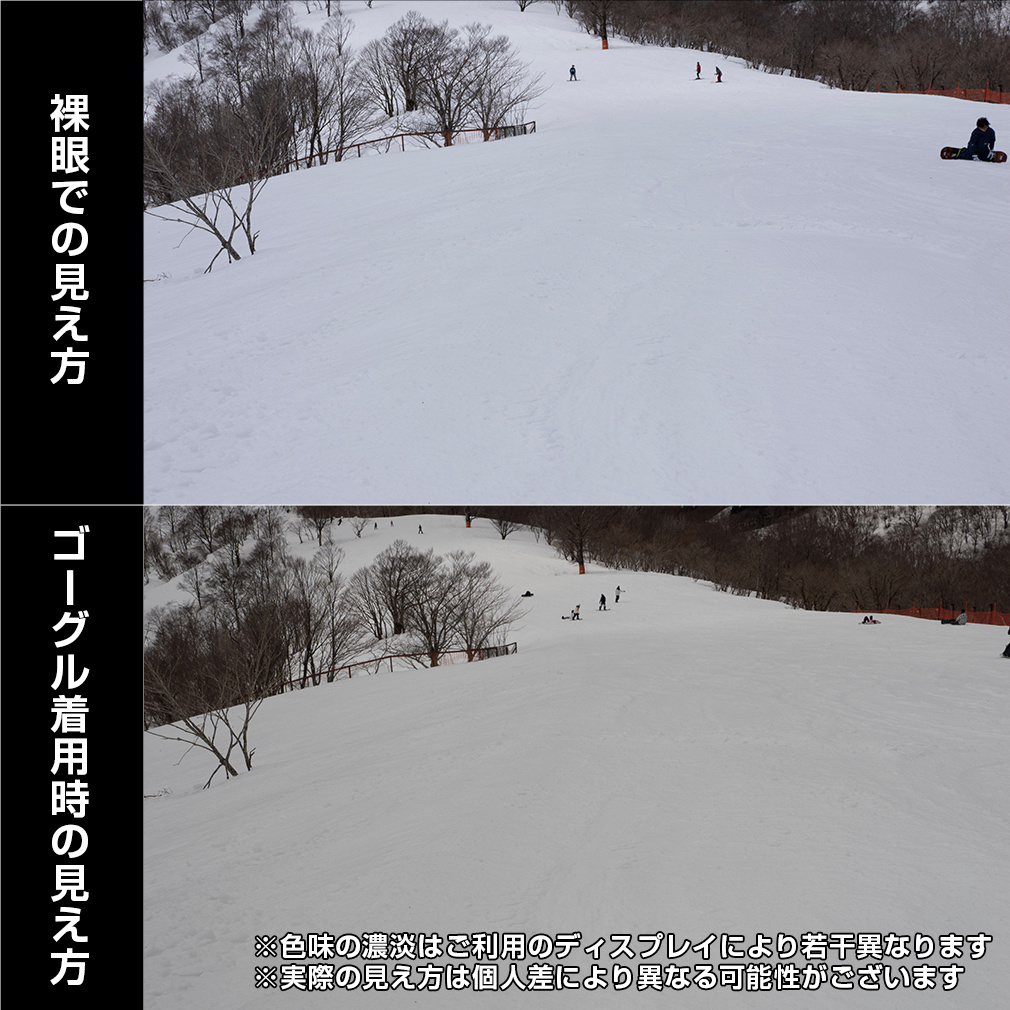 スミス PREVIEW 010276064 スキー/スノーボード ゴーグル ： WHITE