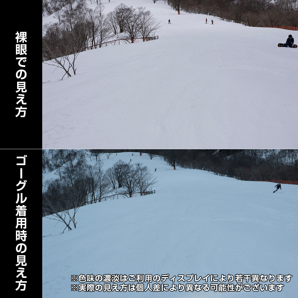 ドラゴン ゴーグル ディーワン_DRAGON_D1_PREMIUM_BEIGE D1_A07 スキー