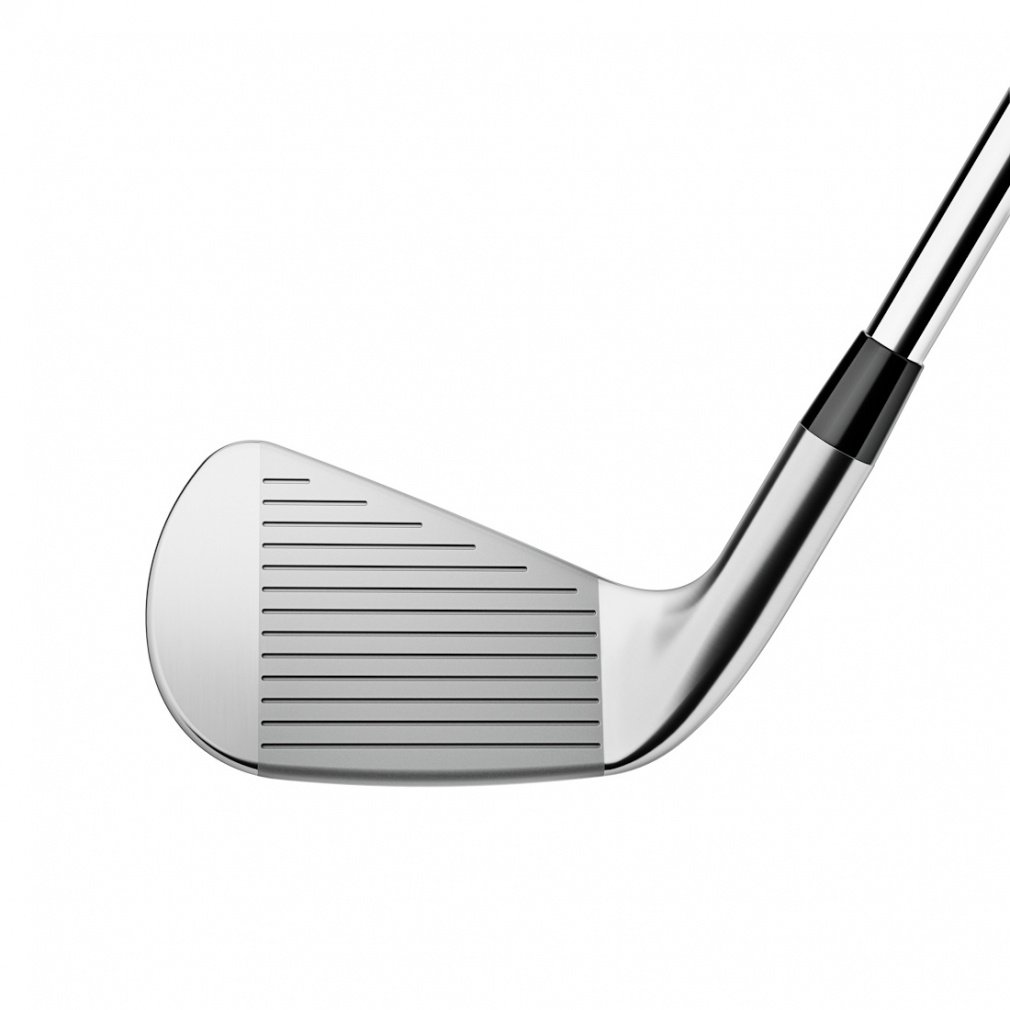 6本セット T100アイアン TRUE TEMPER AMT WHITE｜Alpen Online