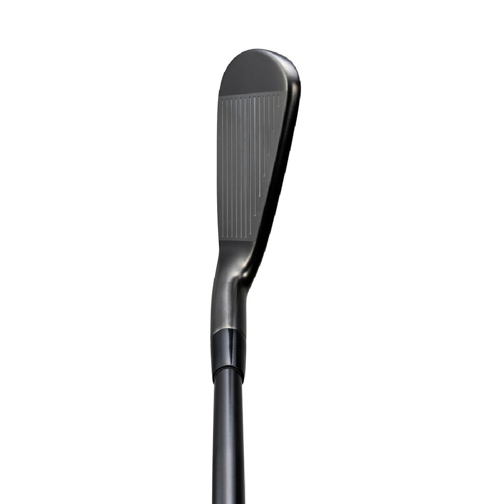 ミズノ Mizuno Pro M-15 Gray IP ゴルフ アイアンセット Dynamic Gold