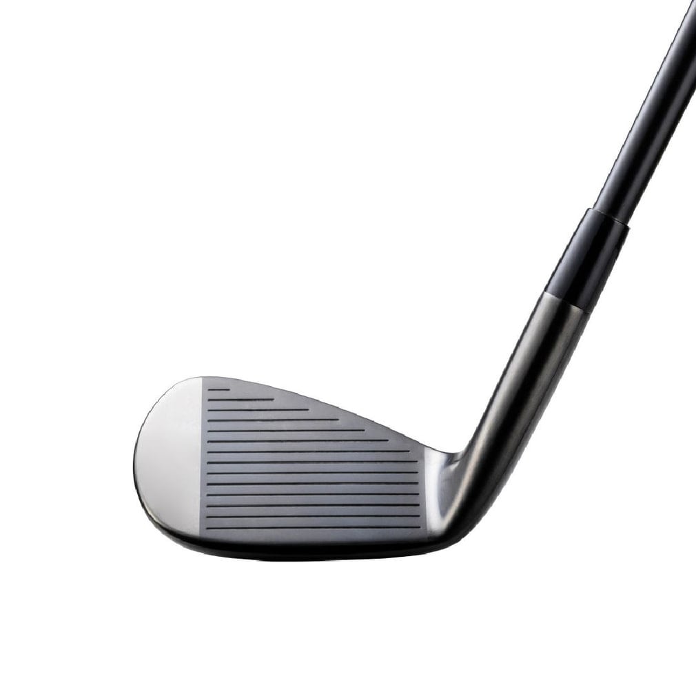 ミズノプロ　アイアン ミズノ Mizuno Pro M-15 Gray IP ゴルフ 単品アイアン Dynamic Gold