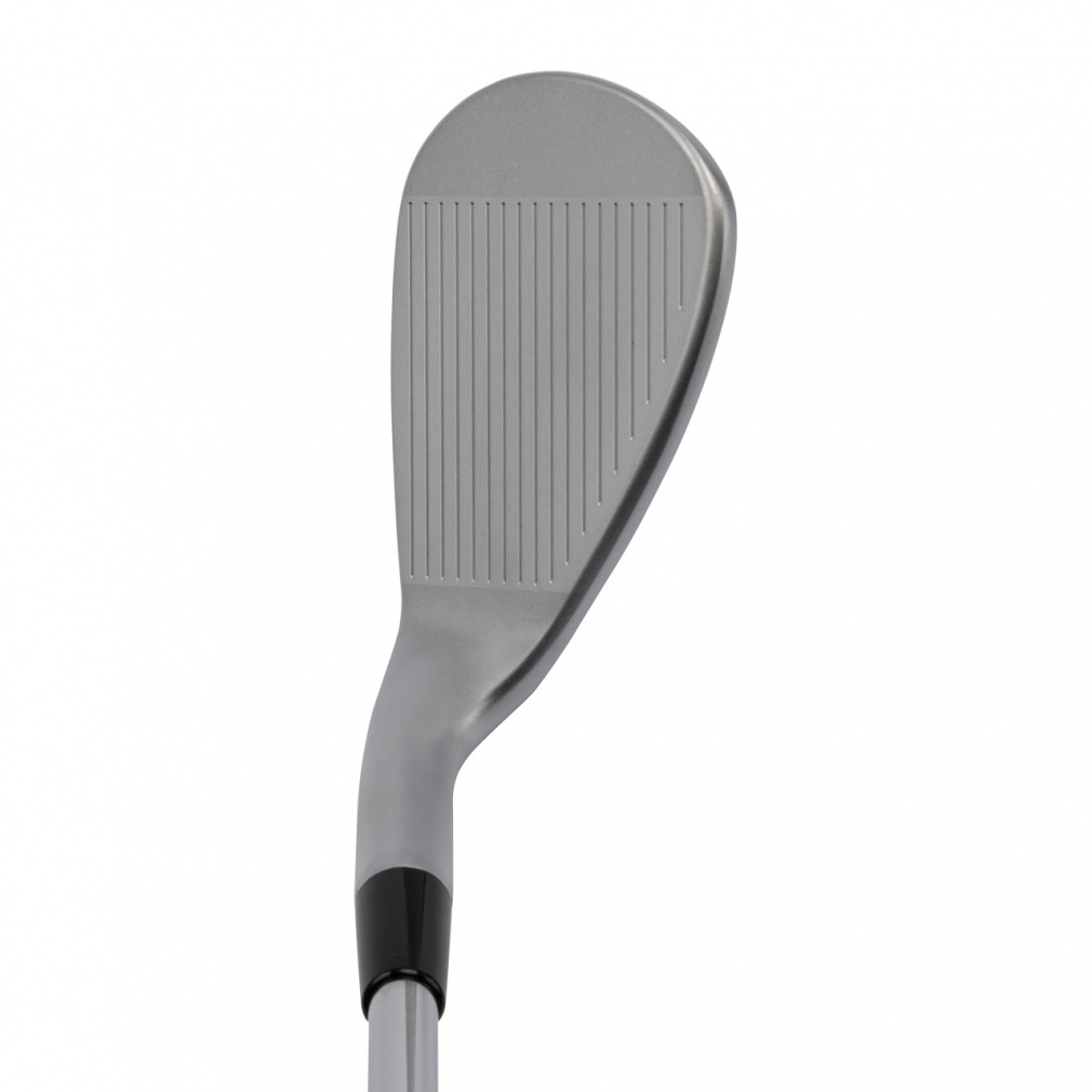 単品 DW-125G ドルフィンウェッジ セミグースネック ウェッジ N.S.PRO