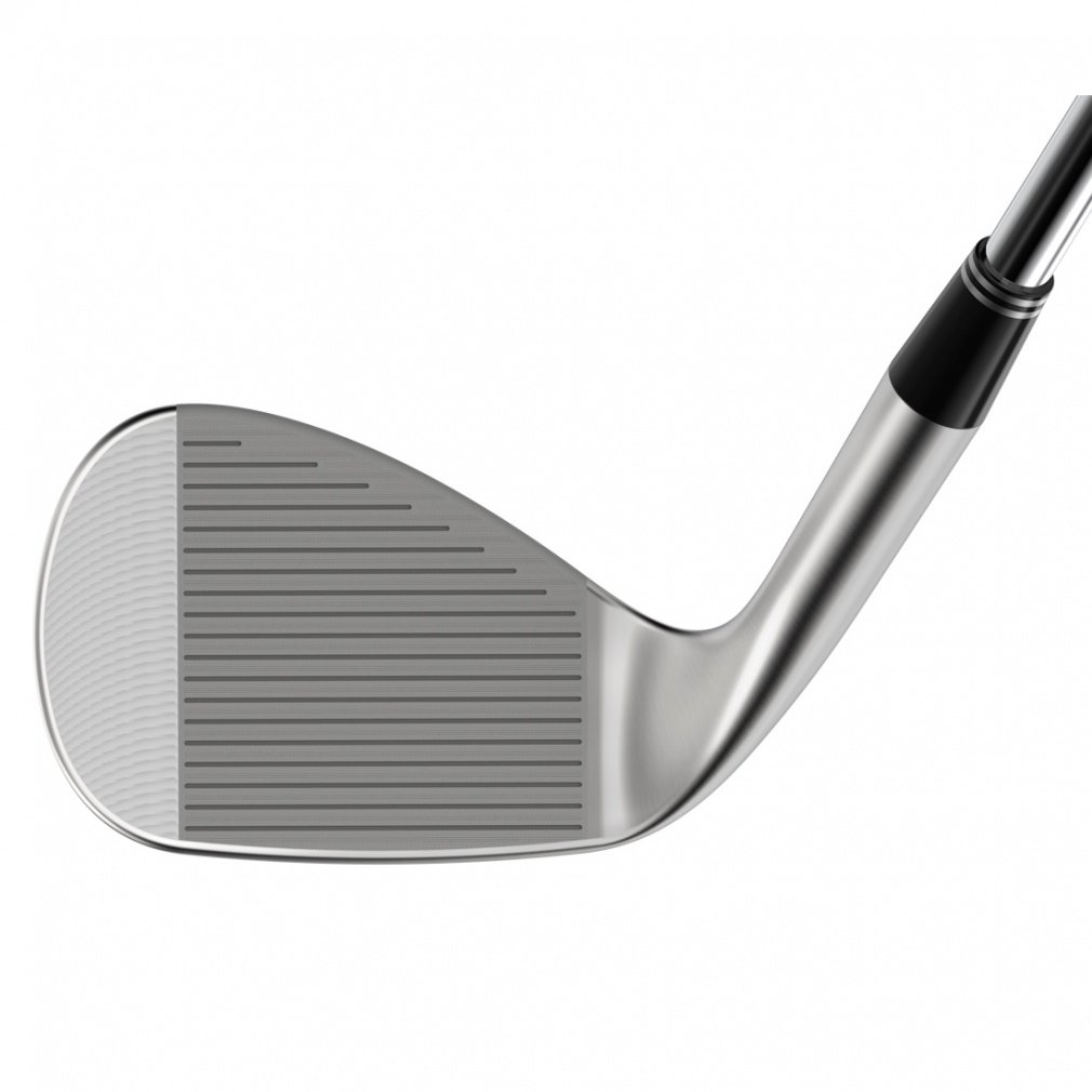 単品 RTZ ウエッジ 50 ダイナミックゴールド｜Alpen Online