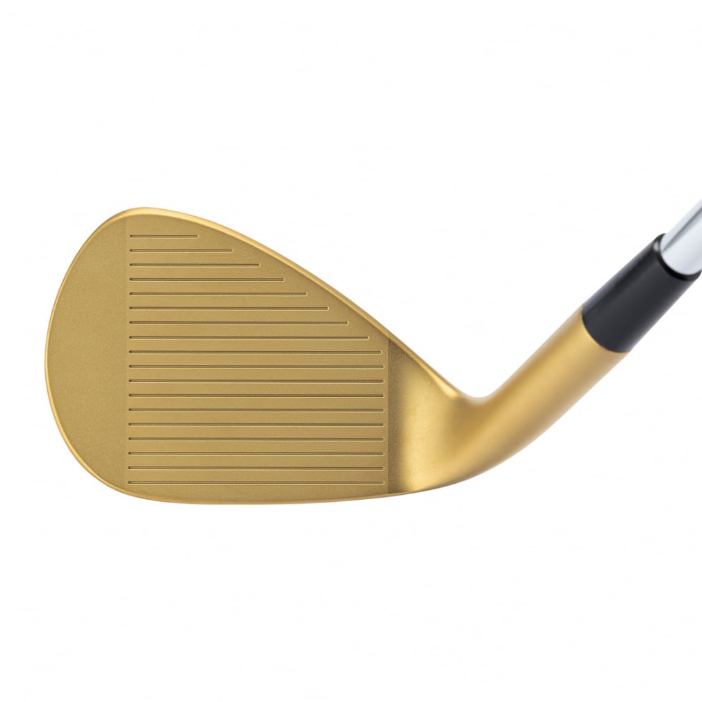 キャスコ ドルフィンウェッジゴールド ゴルフ ウェッジ True Temper