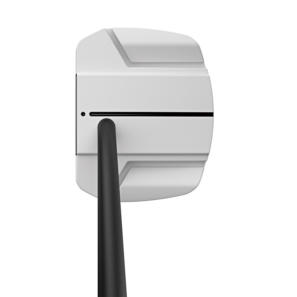 Titleist Laguna TWD パター Titleist Laguna TWD パター