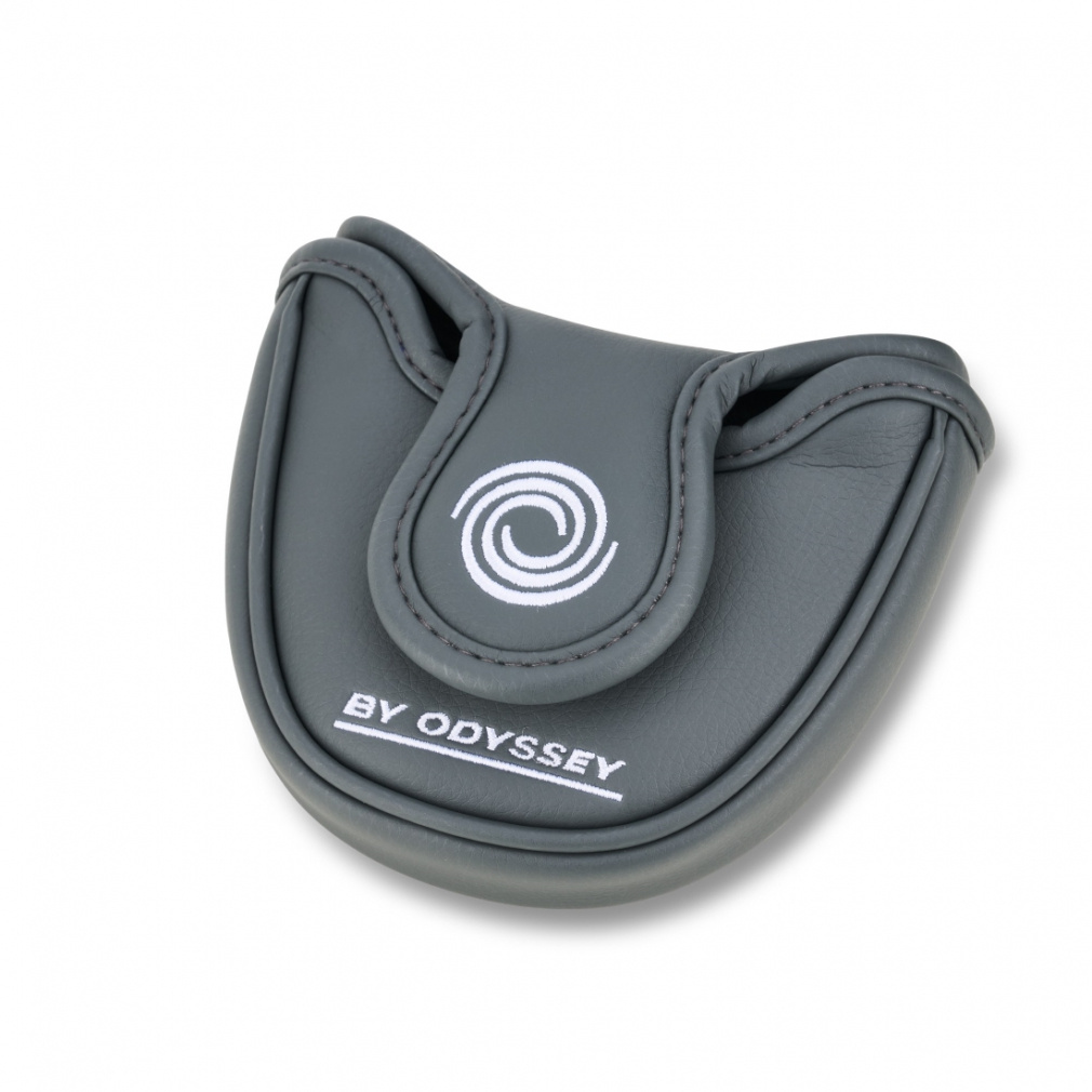 DFX 2-BALL BLADE CH パター｜Alpen Online