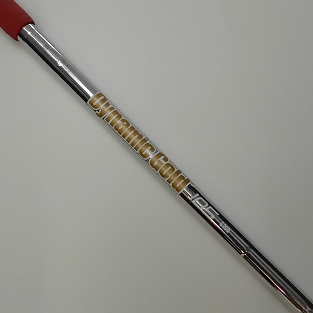 Mizuno Pro 319 S200 Dynamic Gold 105｜Alpen Online 公式オンライン
