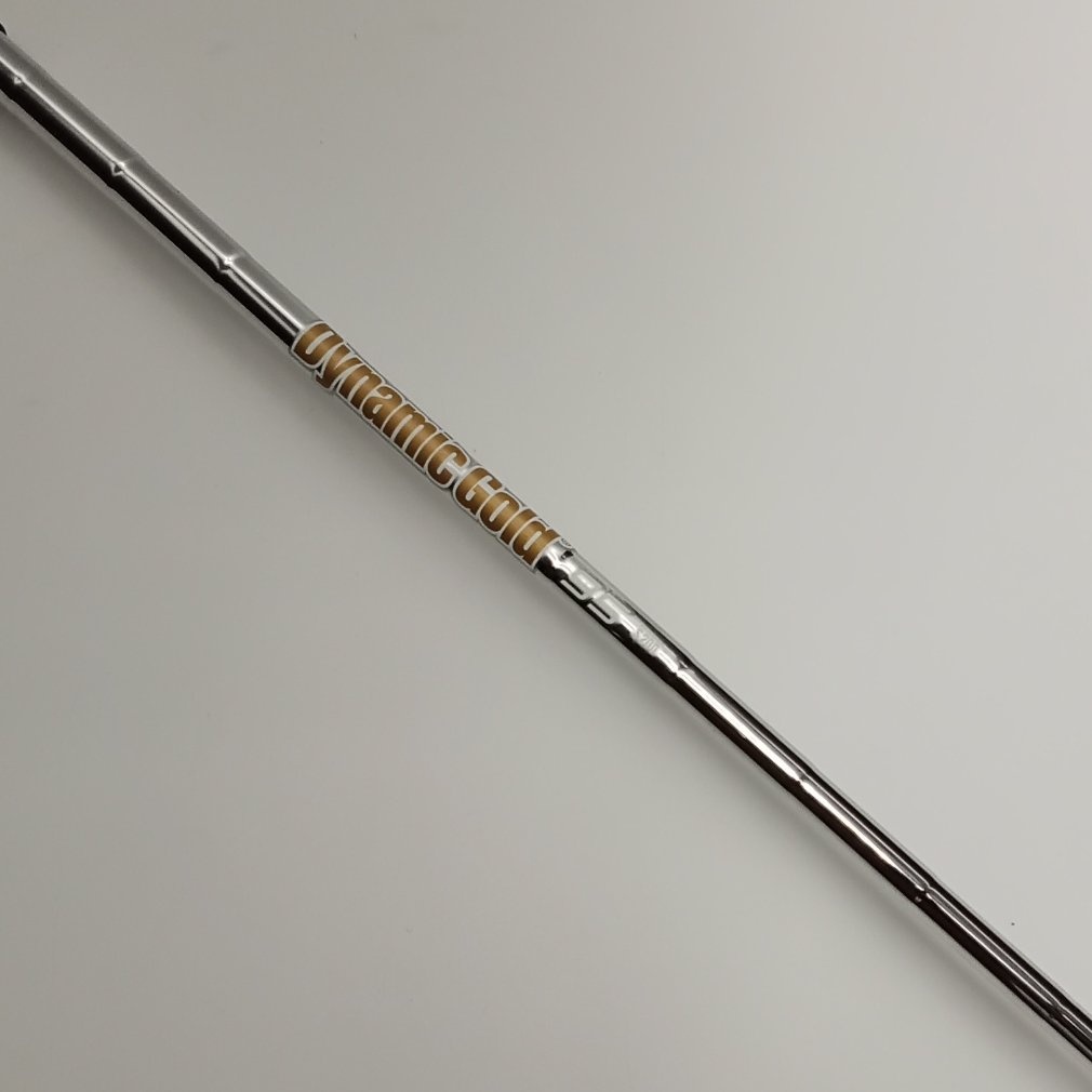 XXIO X -eks- (2024) S200 Dynamic Gold 95｜Alpen Online 公式