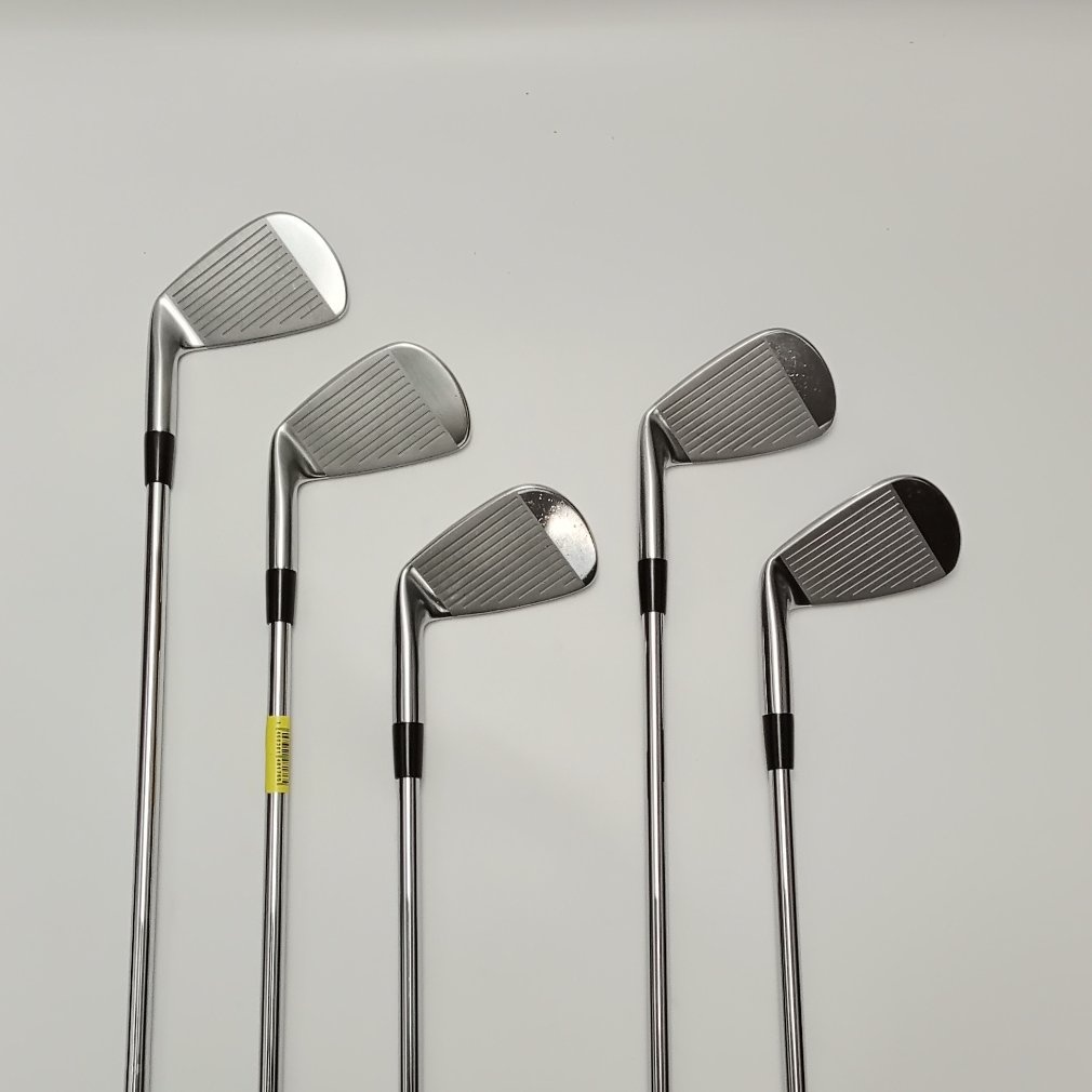 Mizuno Pro 241 Dynamic Gold 95[その他ｽﾁｰﾙ]｜Alpen Online 公式