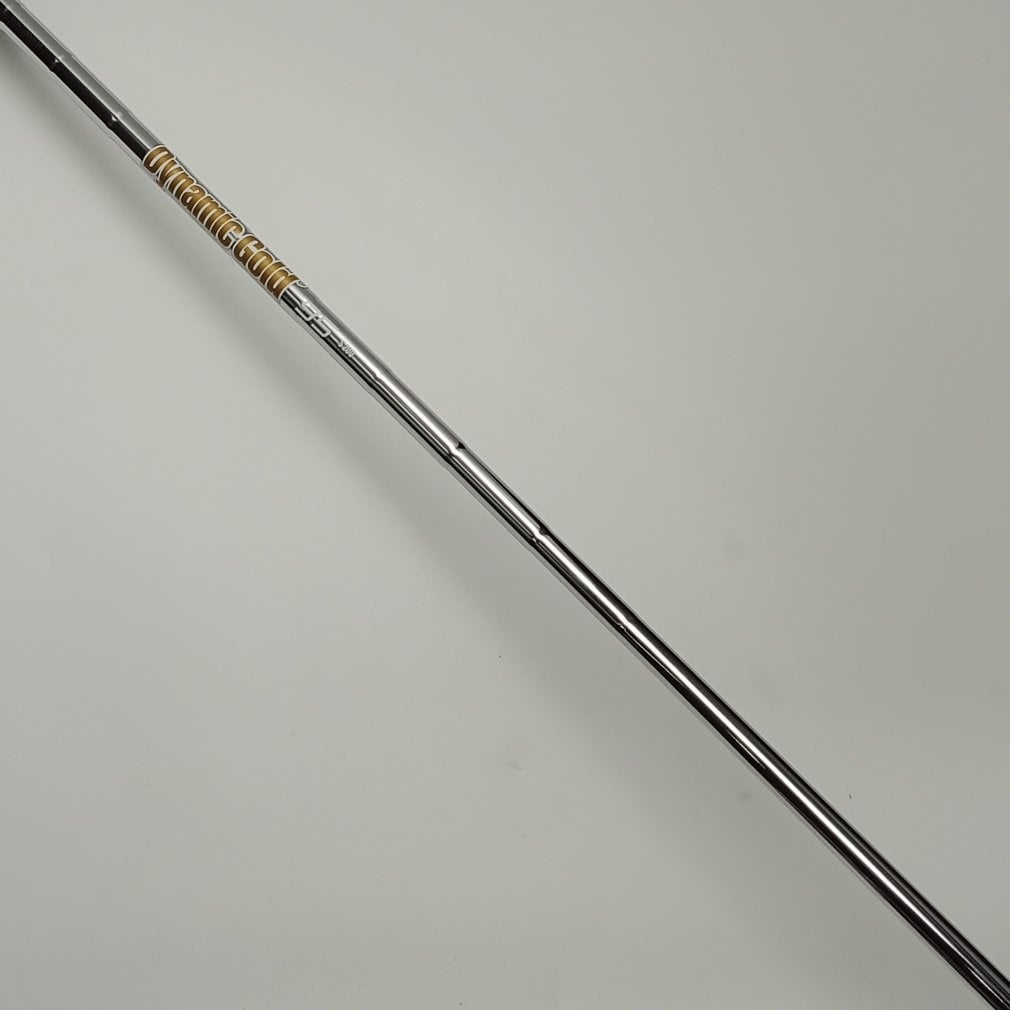 Mizuno Pro 241 Dynamic Gold 95[その他ｽﾁｰﾙ]｜Alpen Online 公式