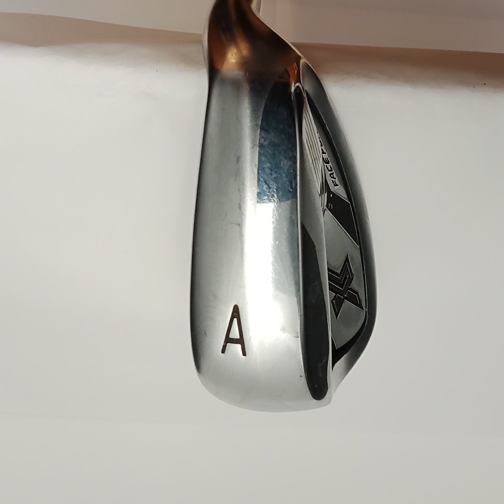 XXIO X -eks- (2024) AW R300 Dynamic Gold 95｜Alpen Online 公式