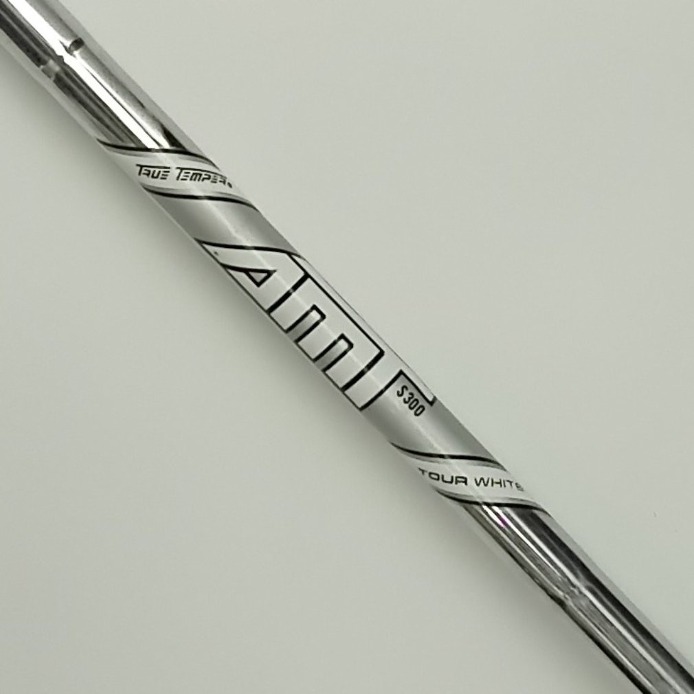AP2 718 単品I S200 AMT TOUR WHITE｜Alpen Online 公式オンラインストア