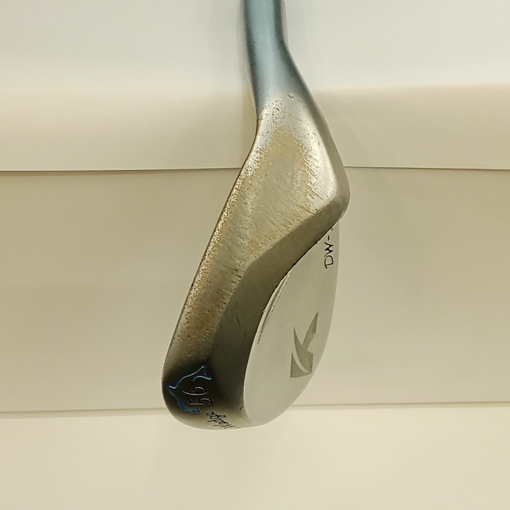 Dolphin Wedge DW-120G ウェッジ N.S.PRO ZELOS 6[その他ｽﾁｰﾙ]｜Alpen