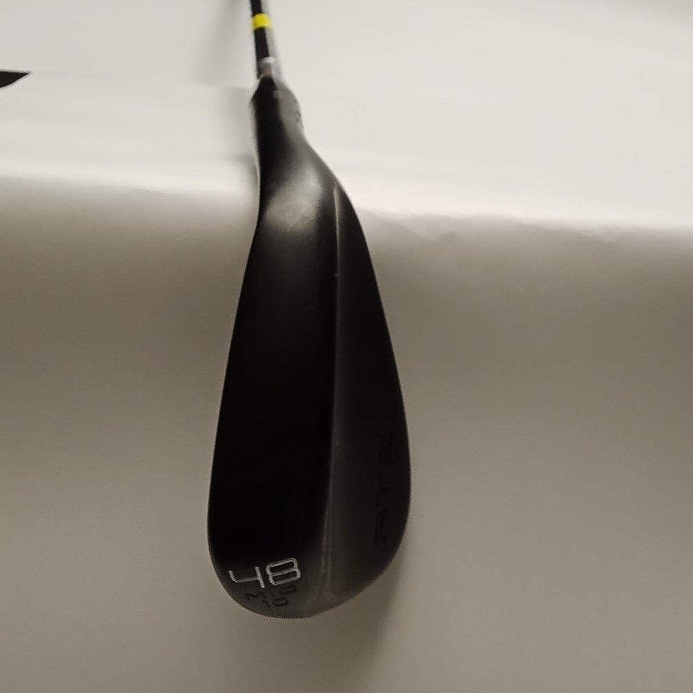 RTZ ﾌﾞﾗｯｸｻﾃﾝ WG 48° Mid 10° S N.S.PRO 950GH neo｜Alpen Online 公式