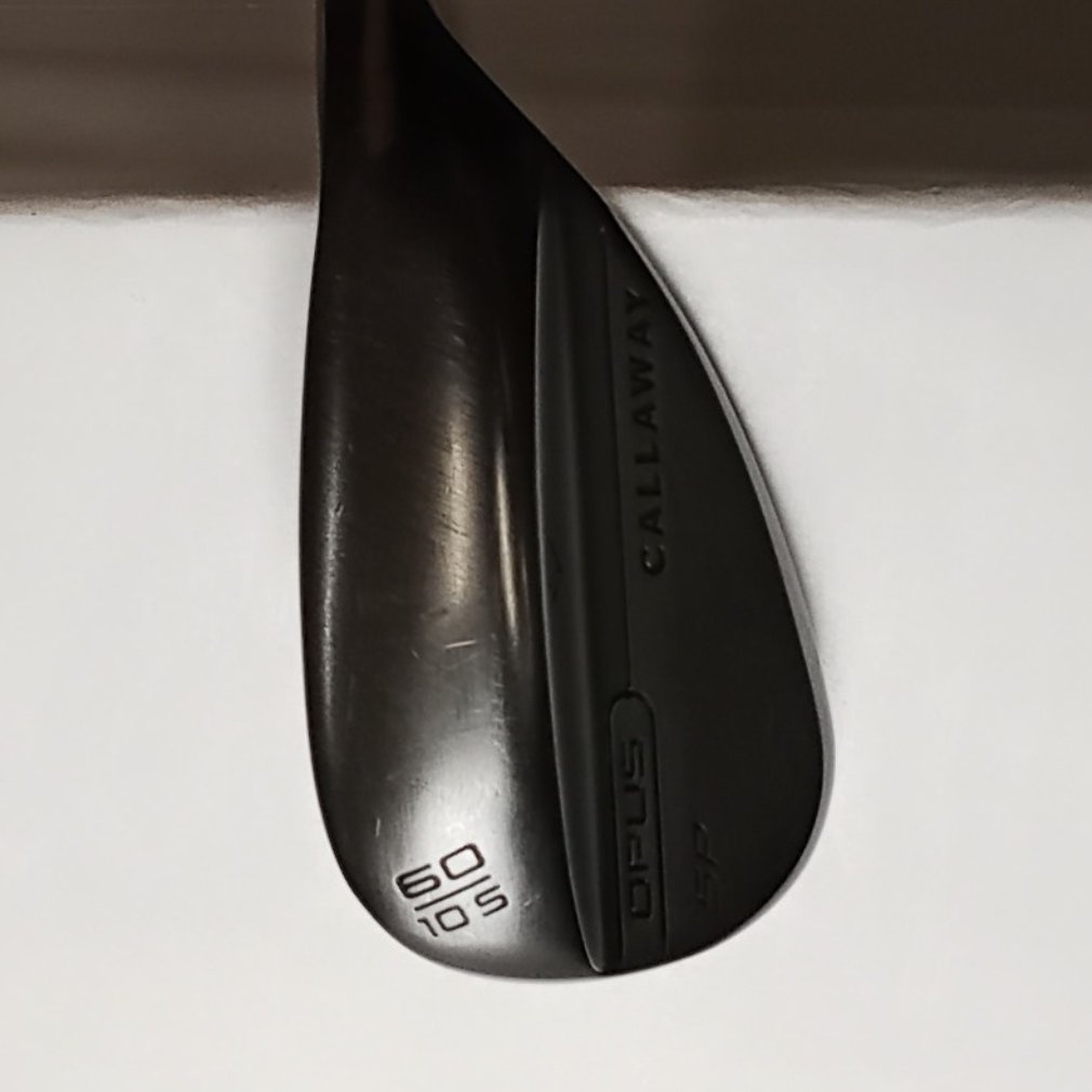OPUS SP ブラック WG 60S° 10° S N.S.PRO MODUS3 TOUR105｜Alpen