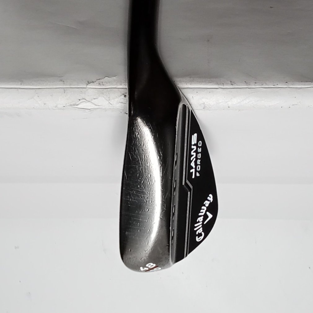 JAWS FORGED ツアーグレー WG 48° 10° S200 Dynamic Gold｜Alpen