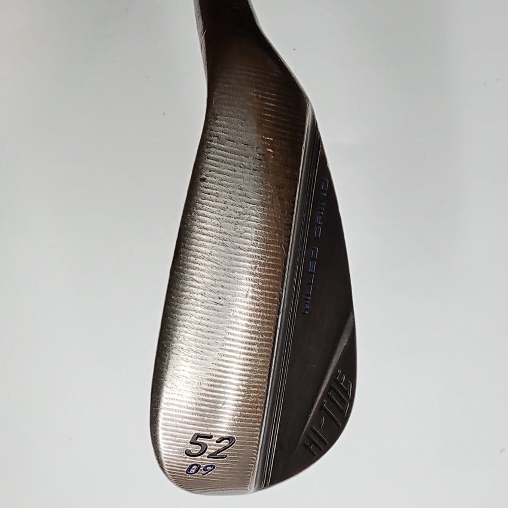 HI-TOE 3 (2022) WG 52SB° 9° S200 Dynamic Gold｜Alpen Online 公式