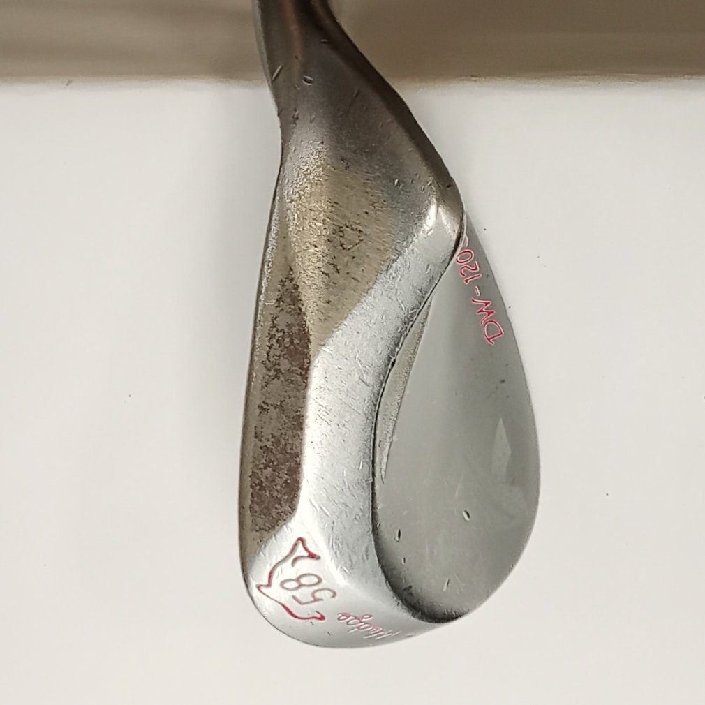 Dolphin Wedge DW-120G レディス WG 58° 8° L Dolphin DP-151 レディス