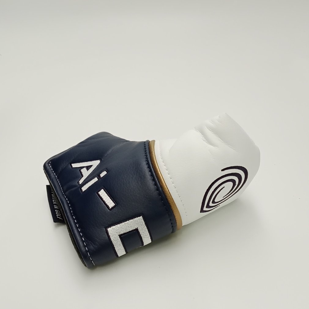 Ai-ONE MILLED ONE WIDE T STROKE LAB 34｜Alpen Online 公式