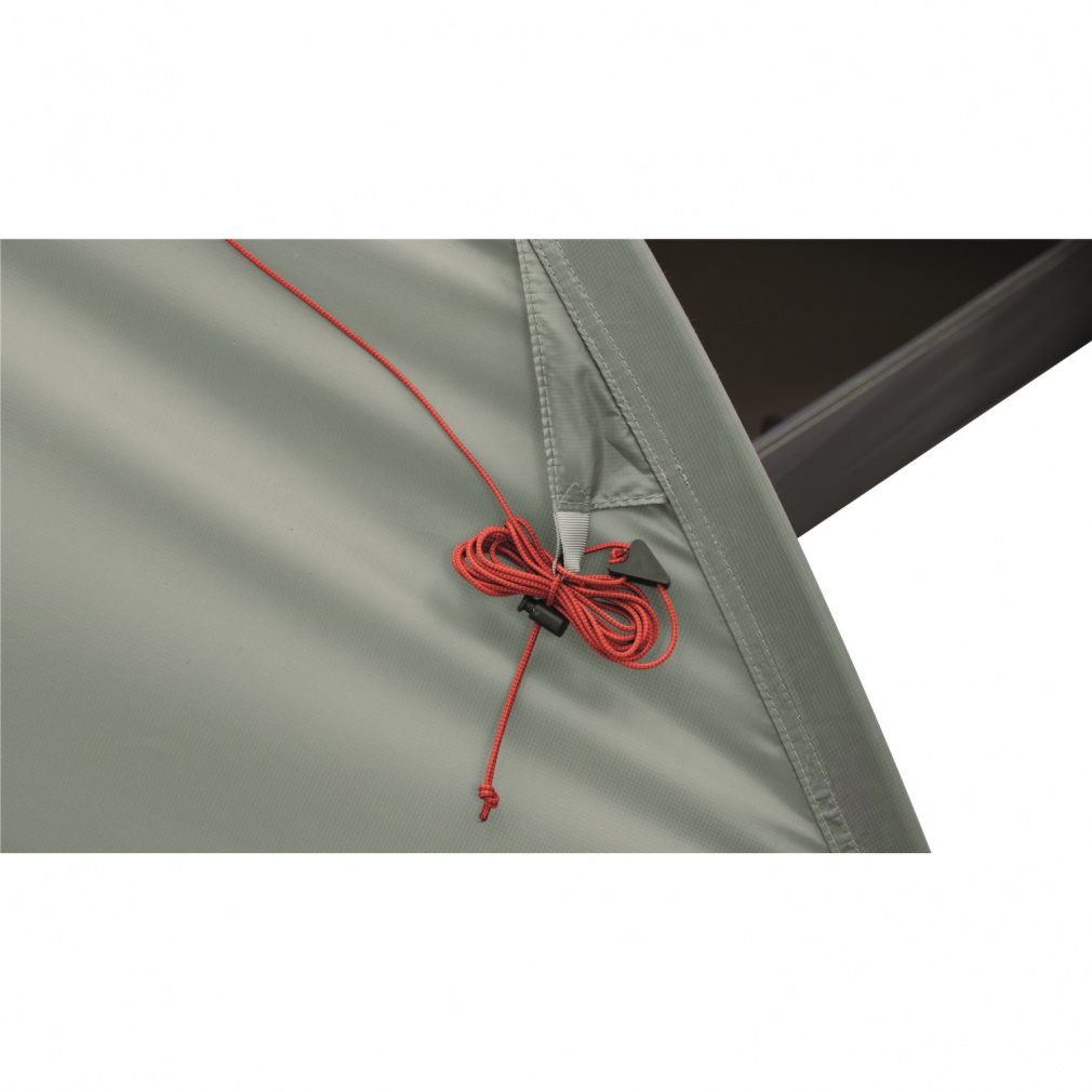 Goldcrest 1｜Alpen Online