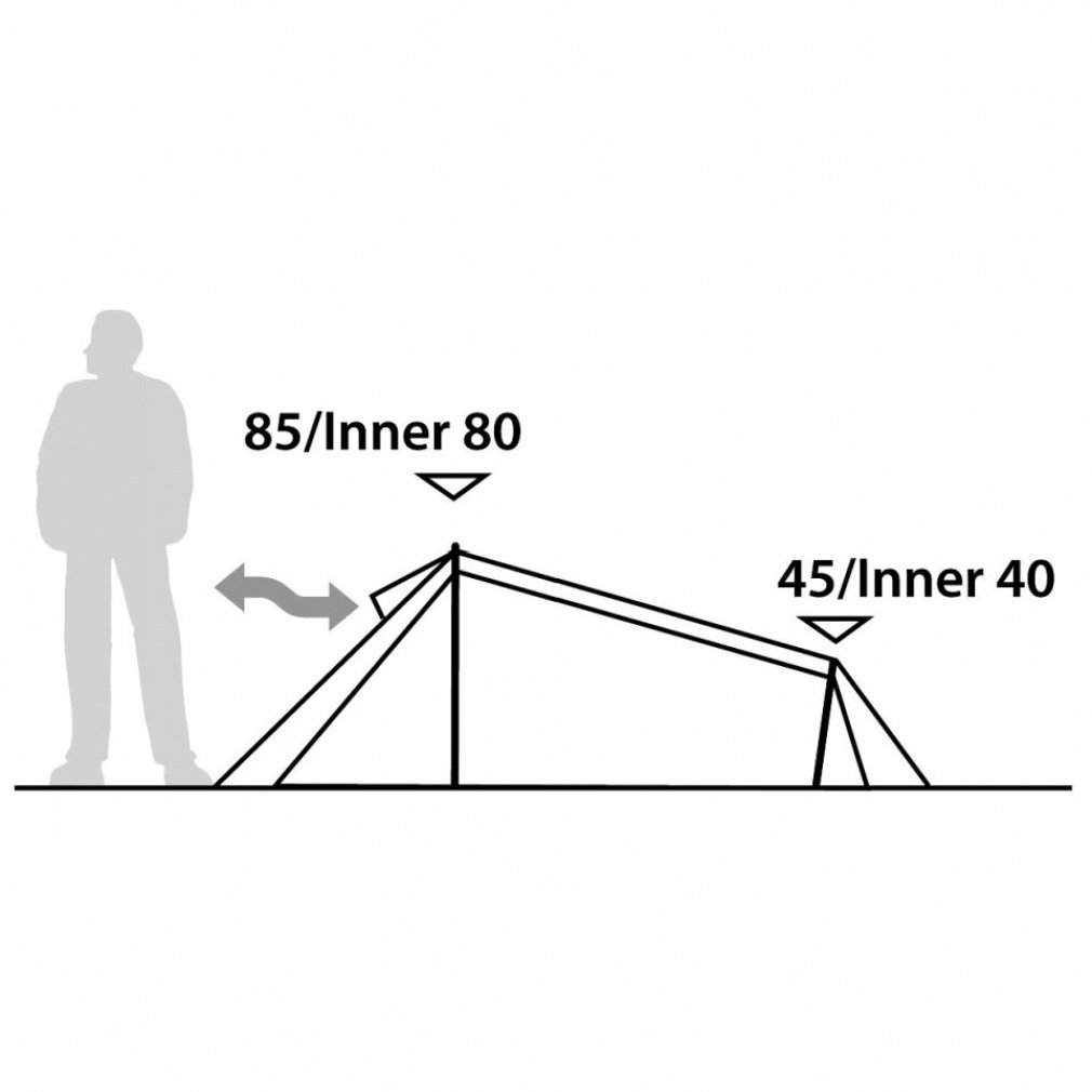 Goldcrest 1｜Alpen Online