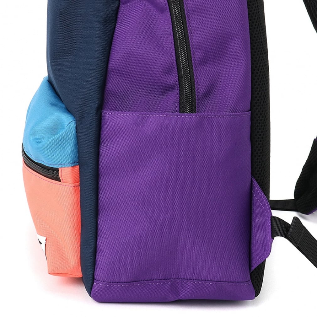 2025秋冬 チャムス Little Recycle Hurricane Day Pack 14L Crazy 25F