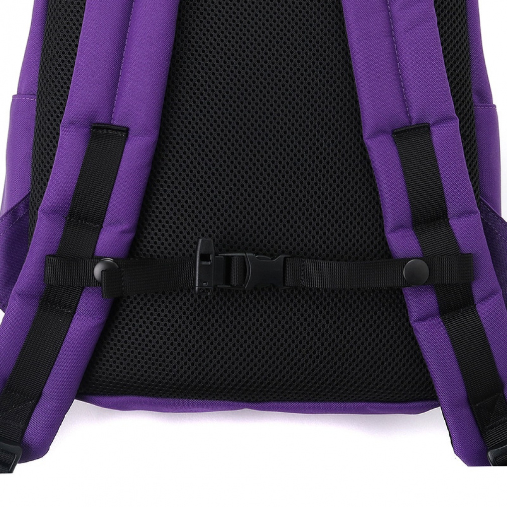 2025秋冬 チャムス Little Recycle Hurricane Day Pack 14L Crazy 25F