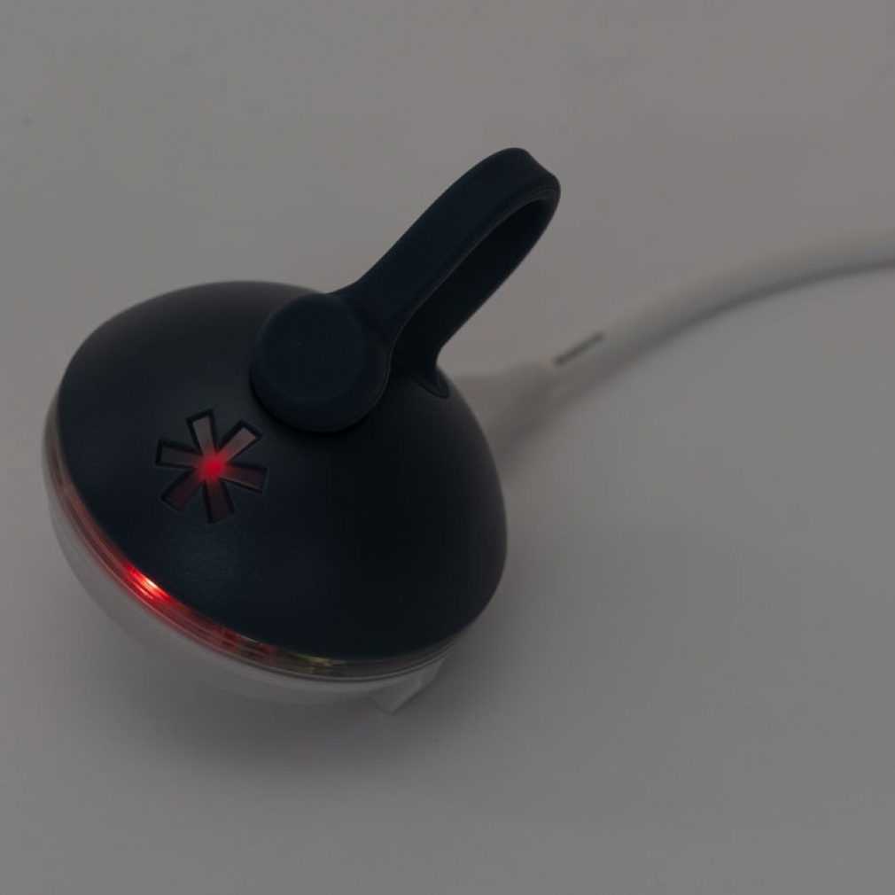 RBたねほおずき よぞら｜Alpen Online