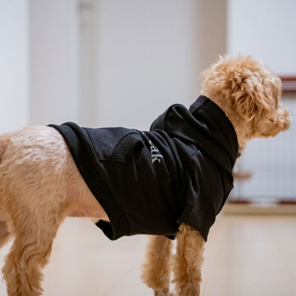 スノーピーク Dog Parka DS-20AU002R02BK ペット用品 ドッグウェア