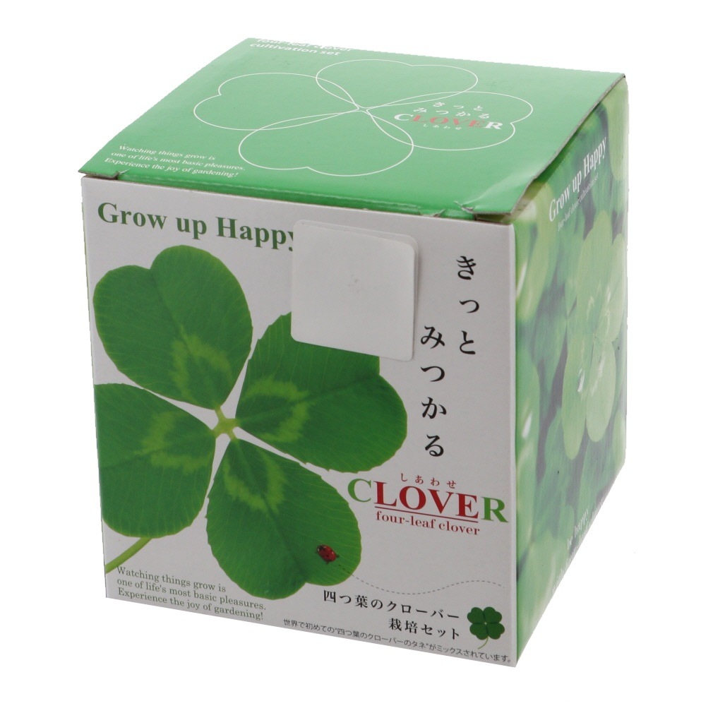 四つ葉 楽天市場】高山園芸 四つ葉のクローバー ダブル ラミネートカード