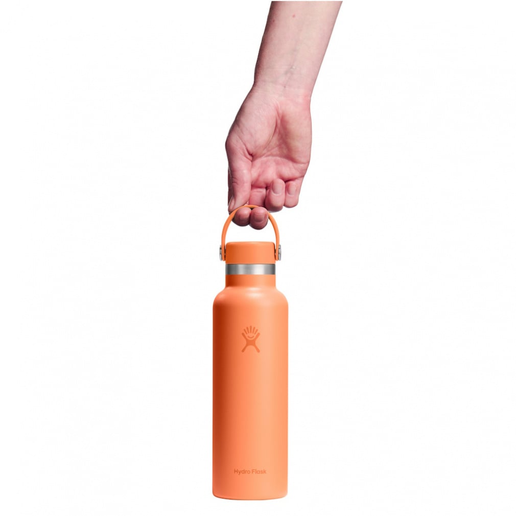 ハイドロフラスク HYDRATION 21oz STANDARD MOUTH 8900120161 キャンプ