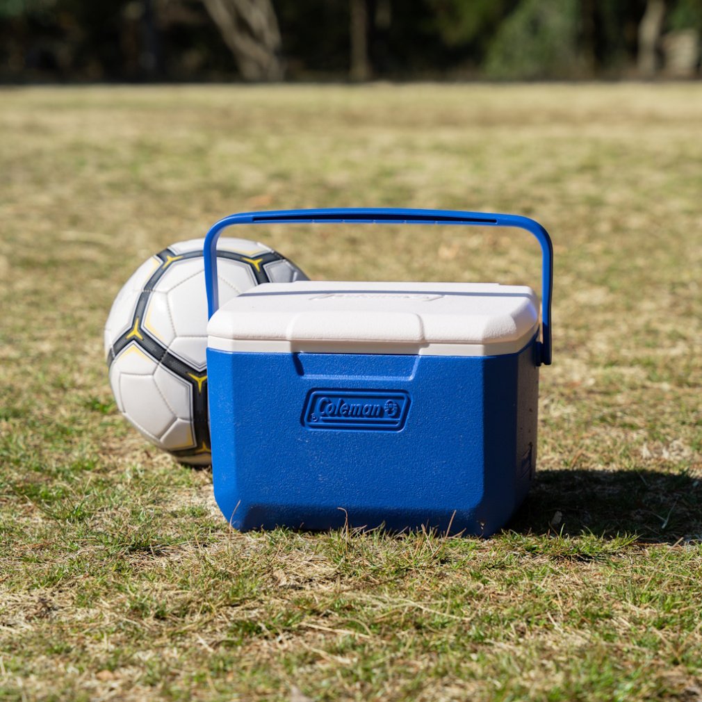 海外スクイーズ MIDOブラインドボックス6点セット 楽天市場