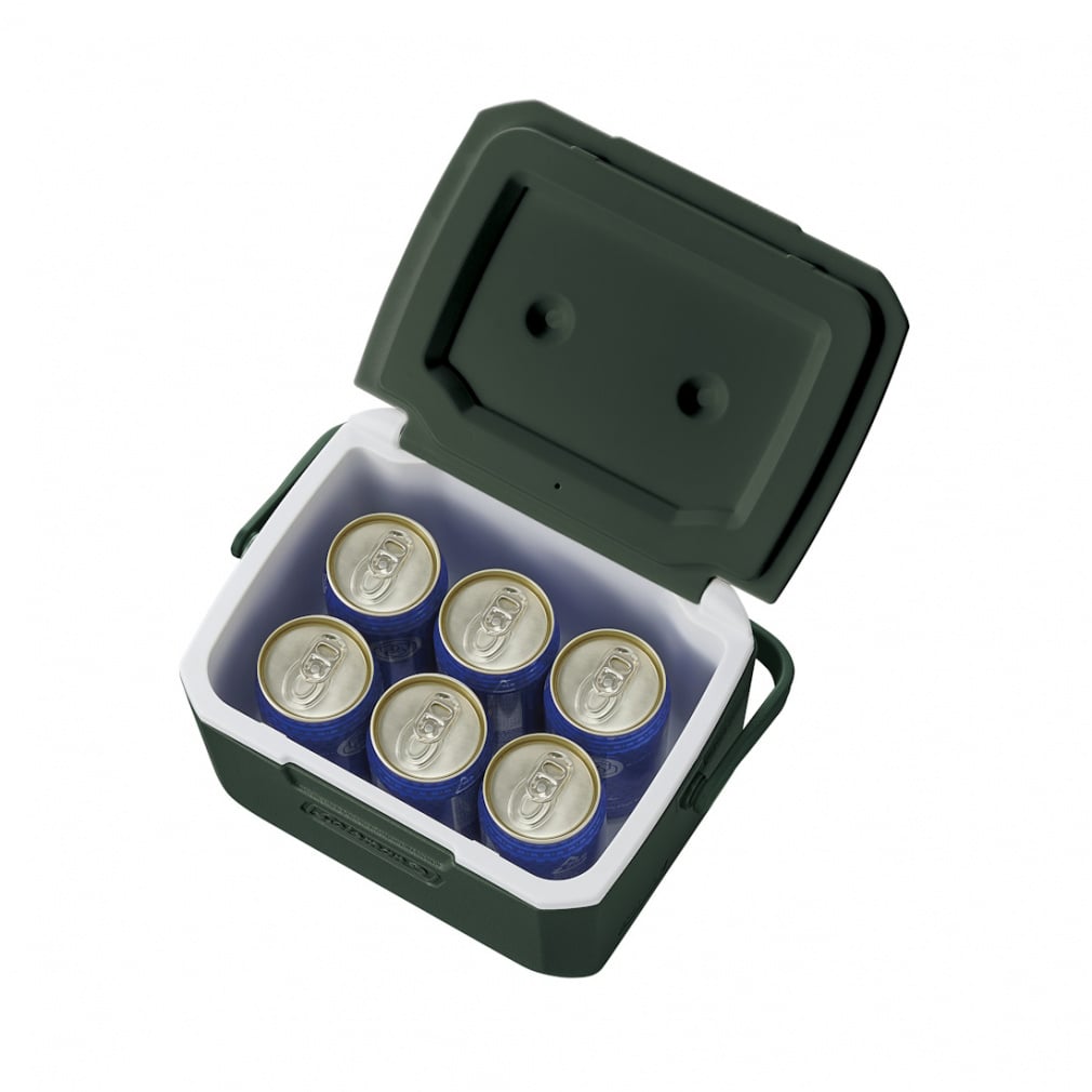 テイク6 グリーン 2221064 キャンプ ハードクーラー S Coleman｜Alpen