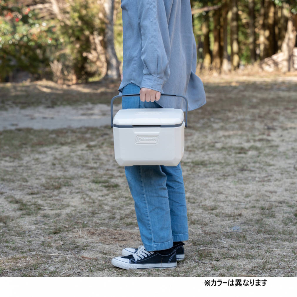 テイク6 グリーン 2221064 キャンプ ハードクーラー S Coleman｜Alpen