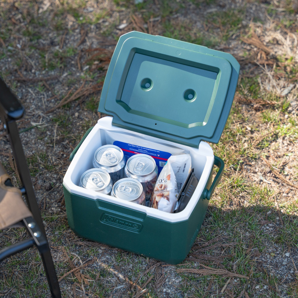 テイク6 グリーン 2221064 キャンプ ハードクーラー S Coleman｜Alpen