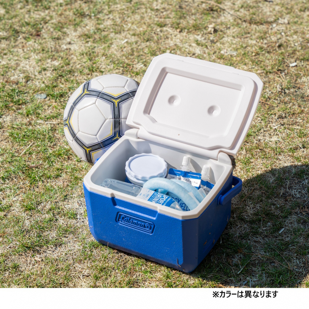 テイク6 グリーン 2221064 キャンプ ハードクーラー S Coleman｜Alpen