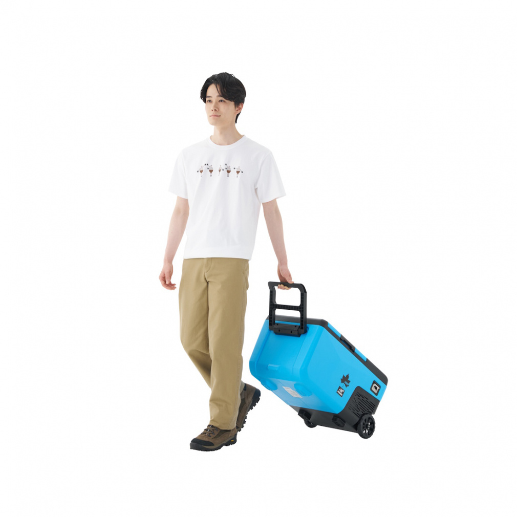 ロゴス (野電) エレキャン・凍結冷凍冷蔵庫 25-BF (-30度/20度 2ドア