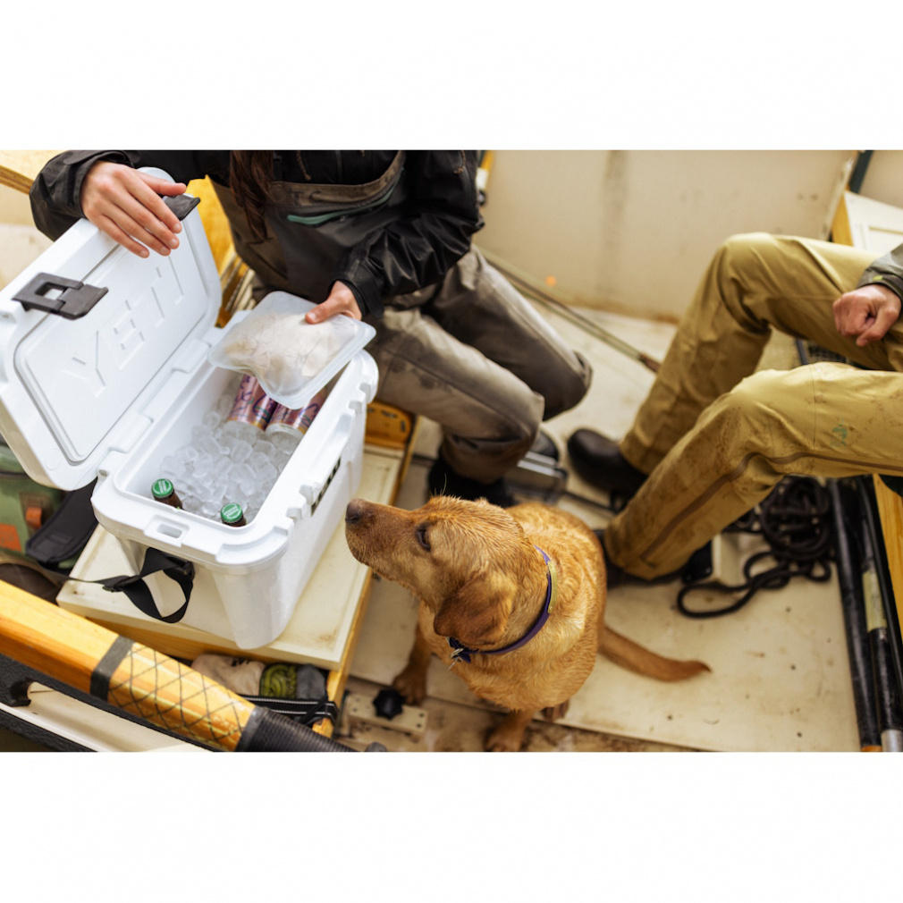 イエティ ROADIE 15 100330 20000 キャンプ ハードクーラー : WHITE