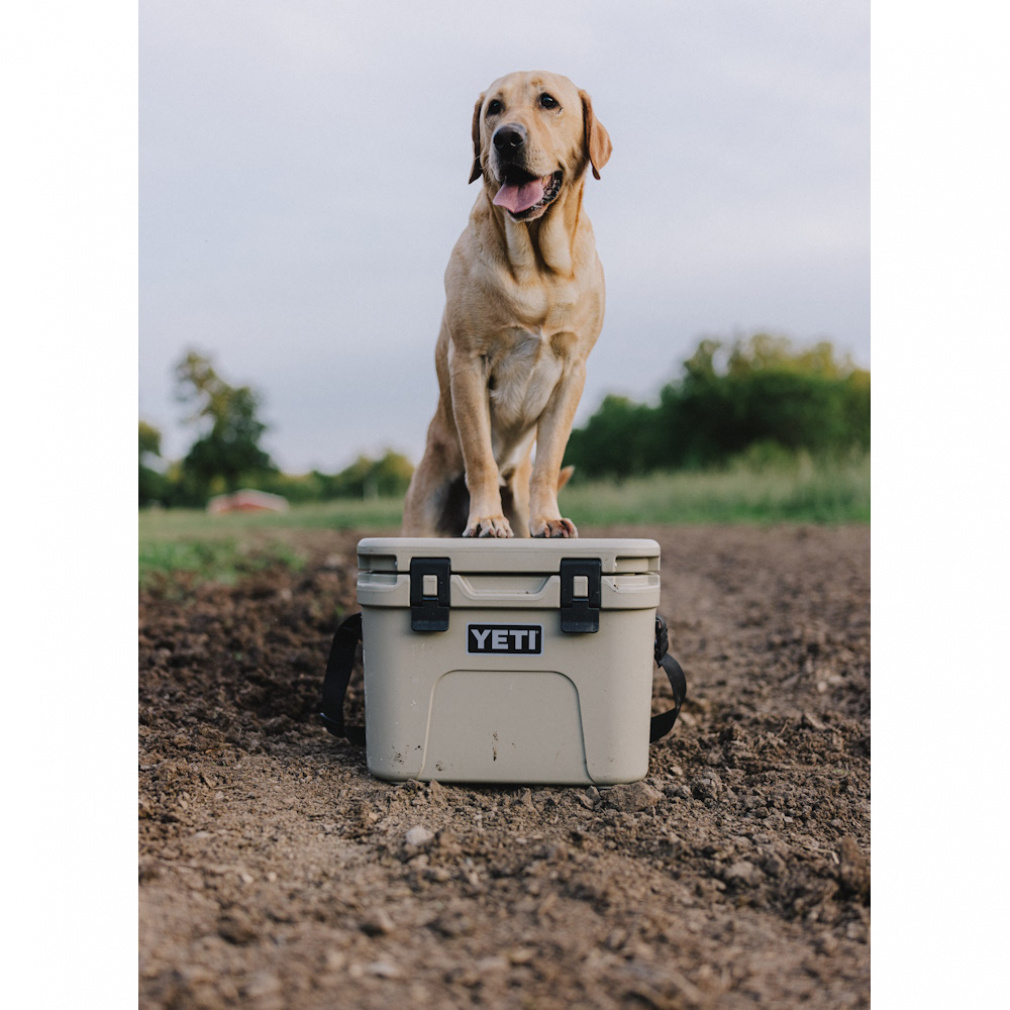 イエティ ROADIE 15 100330 10000 キャンプ ハードクーラー : TAN Yeti