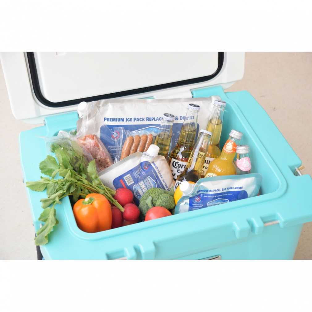 アルペン限定】 コールマン COOLER 16QT AP20 LIGHT GRAY JAPAN