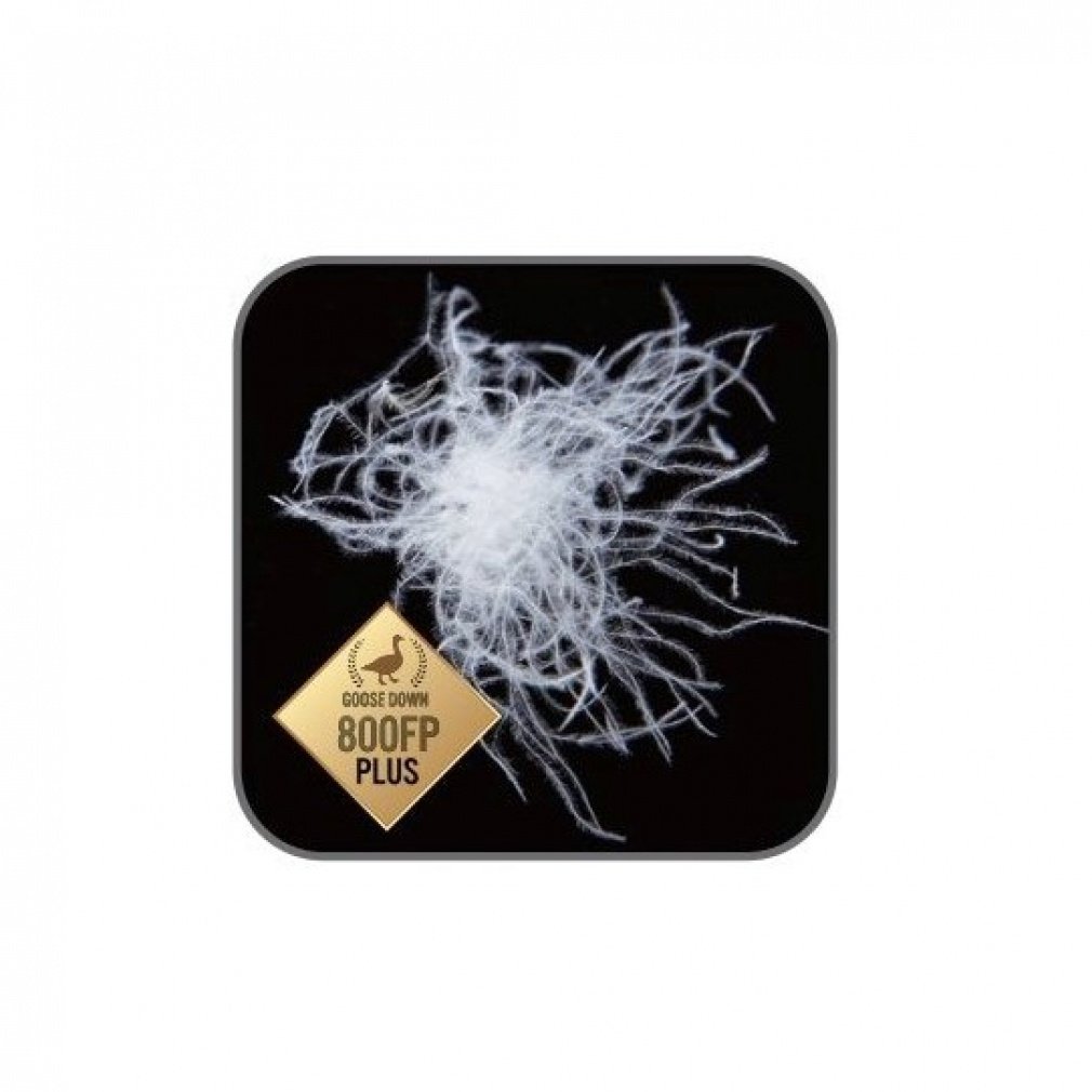 エア プラス 450｜Alpen Online