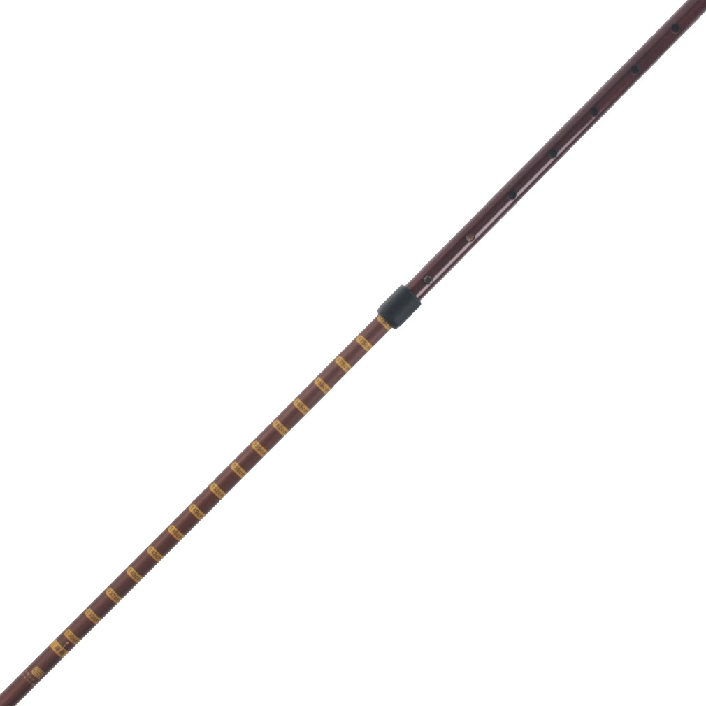 NEWあんしん2本杖｜Alpen Online