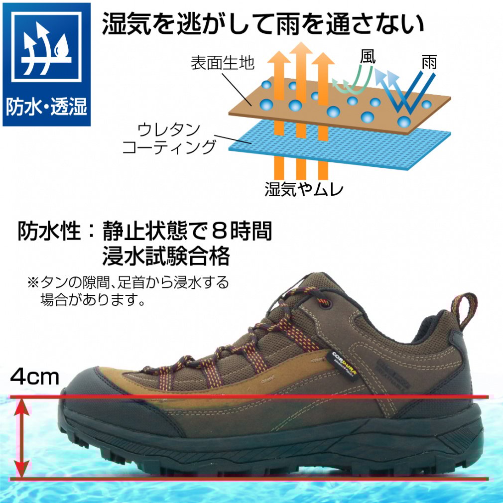 山水画 真作/杉浦俊香/楼閣山水人物図/山水図/掛軸☆宝船☆AI-910の通販
