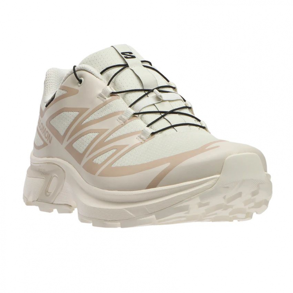 2025秋冬 サロモン エックスティー GTX イーブイアール L47803400